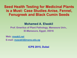 Seed Health Testing for Medicinal Plants is a Must: Studies. Anise