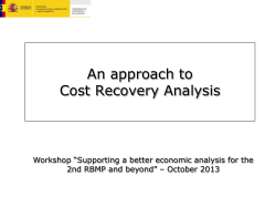 Environmental cost assessment in the Guadiana RBD