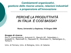 Productivity, Innovation Strategies and Industrial Relations in SME