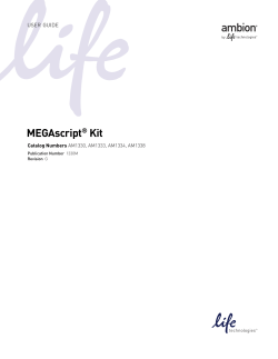 MEGAscript&reg; Kit User Guide