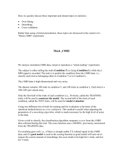 Mock_fMRI