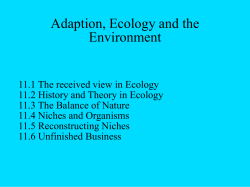 Elton`s concept of a niche