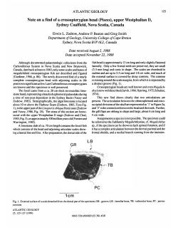 Note on a find of a crossopterygian head (Pisces), upper