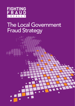 The Local Government Fraud Strategy