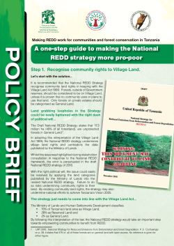 Policy Brief: a one-step guide to making the National REDD strategy