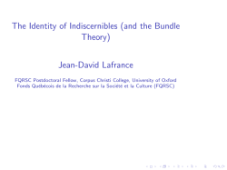 The Identity of Indiscernibles (and the Bundle Theory)