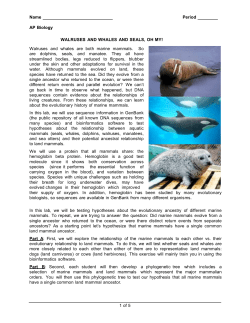 Microsoft Word - Lab05WalrusesWhalesWeasels.doc