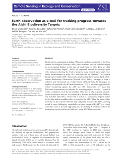 Earth observation as a tool for tracking progress towards
