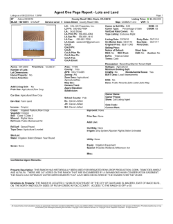 Agent One Page Report - Lots and Land
