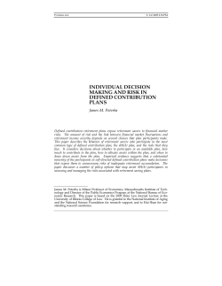 individual decision making and risk in defined contribution plans