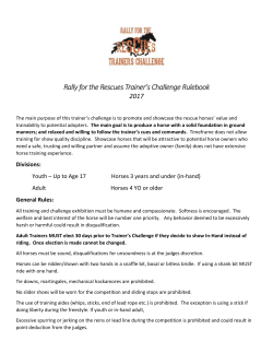 DOCX - Rally For The Rescues