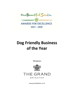 Dog Friendly Business of the Year