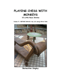 playing chess with monkeys