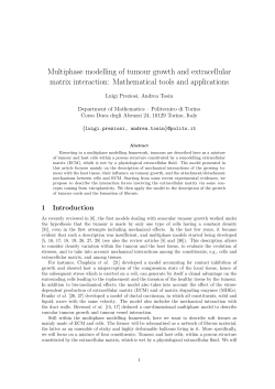 Multiphase modelling of tumour growth and extracellular