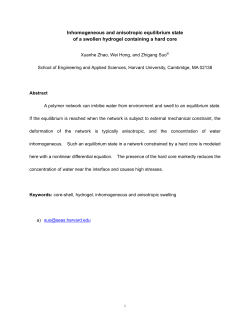 Inhomogeneous and anisotropic equilibrium state of a