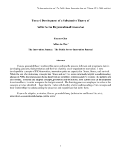 Toward Development of a Substantive Theory of Public Sector