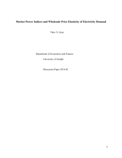 Market Power Indices and Wholesale Price Elasticity of Electricity