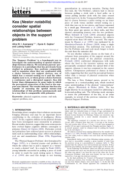 Kea (Nestor notabilis) consider spatial relationships between