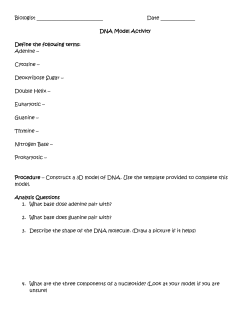 DNA paper model activity