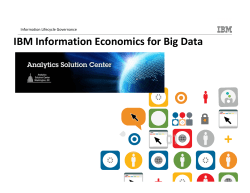 IBM Information Economics for Big Data