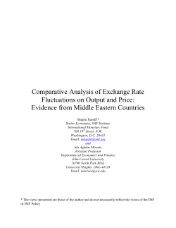 Comparative Analysis of Exchange Rate Fluctuations on Output and