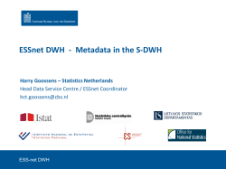 ESSnet DWH