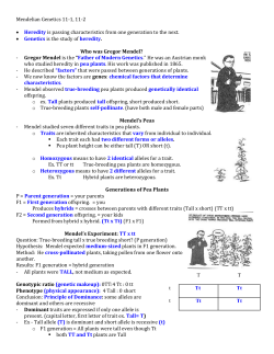 Mendelian Genetics 11-1, 11-2 Heredity is passing characteristics