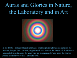 Geen diatitel - VanRenesse Consulting