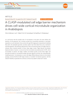 A CLASP-modulated cell edge barrier mechanism drives