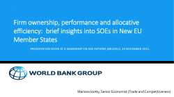 Firm ownership, performance and allocative efficiency: brief insights