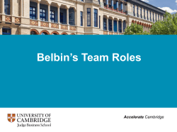 Entrepreneurship as a plural phenomenon&hellip; `The team`