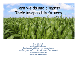 Corn yields and climate: h l f Their inseparable futures