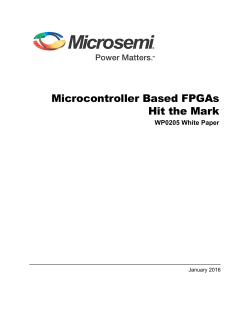 WP0205: Microcontroller Based FPGAs Hit the Mark