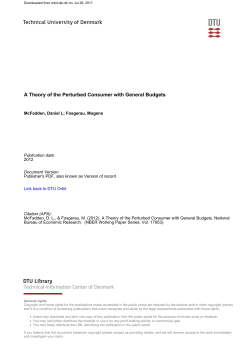 A Theory of the Perturbed Consumer with General Budgets