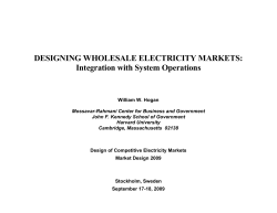 Designing Wholesale Electricity Markets: Integration with