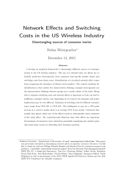Network Effects and Switching Costs in the US Wireless Industry