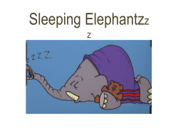 Sleeping Elephants Game