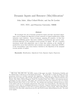 Dynamic Inputs and Resource (Mis)Allocation