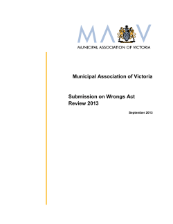 Submission on Wrongs Act Review 2013