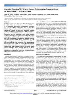 Cisplatin Depletes TREX2 and Causes