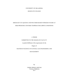 Master`s Thesis Template