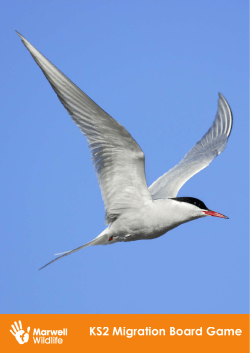 KS2 Migration Board Game