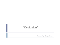 Shreya_Rawal_Occlusion