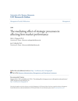 The mediating effect of strategic processes in affecting firm market