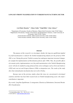 LONG RUN PROFIT MAXIMIZATION IN TURKISH