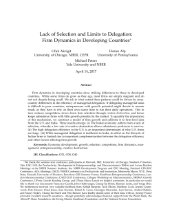 Lack of Selection and Limits to Delegation: Firm