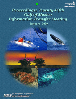 Proceedings: Twenty-Fifth Gulf of Mexico Information