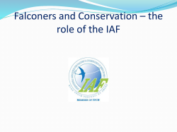 Falconers and Conservation _ the role 0f the