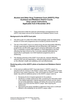 Duty Lawyer Instructions