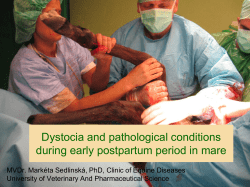Dystocia and pathological conditions during early postpartum period